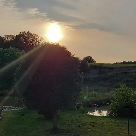 Des Etangs *