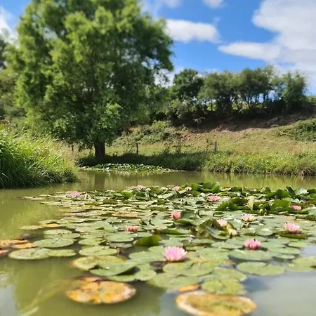 Des Etangs * Vodelée