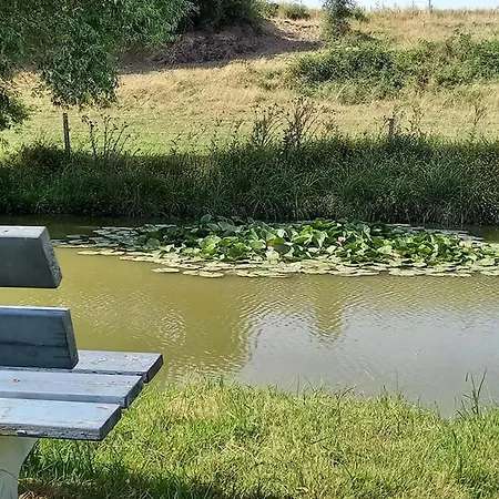 Des Etangs Villa *